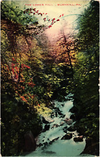 The Lower Falls Bushkill PA Divided Unposted Postcard c1910 picture