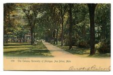 Ann Arbor, MI. The Campus, Univ. of Michigan, pre-1907. Nice Rotograph card. picture