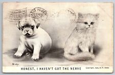 Vintage Postcard Humor Funny Cartoon Puppy Kitten Dog Afraid of Cat c1909 ~11628 picture