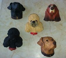5 Bossons Congleton Collection Dog Heads Made in England Chalkware Wall Plaques picture