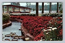 Florien LA-Louisiana, Hodges Gardens, Fall Waterlilies Souvenir Vintage Postcard picture