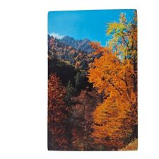 Postcard Gorgeous Fall Colors Great Smoky Mountains National Park Chrome picture