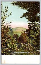Postcard - Greetings from Bluehill, Maine - Scenic, Early 1900s, Unposted (M7h) picture
