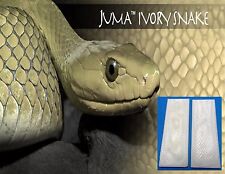 2 Ivory Snake Juma .250