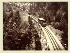 Suisse, Vitznau cord tobel bridge vintage albums print, Switzerland print al picture