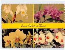 Postcard Exotic Orchids of Hawaii picture