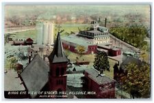 1913 Birds Eye View of Stock's Mill Hillsdale Michigan MI Antique Postcard picture