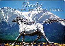 Poncha Springs, CO Colorado SILVER HORSE 