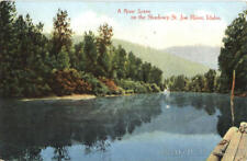 1908 Idaho A River Scene On The Shadowy St. Joe River M. Rieder value Postcard picture