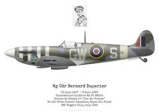 Spitfire Mk Vb, Bernard Duperier, FAFL, Royal Air Force (by G. Marie) Print picture