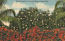 Postcard FL Florida Grapefruit Grove Flame Vine Hedge Linen Vintage PC J4489 picture
