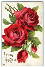 1910 Birthday Greetings Roses Flowers Omega Florida FL Embossed Antique Postcard picture