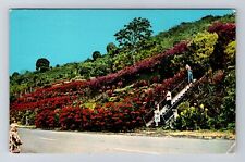Kealakekua HI-Hawaii, Machado Gardens, Antique, Vintage c1987 Postcard picture