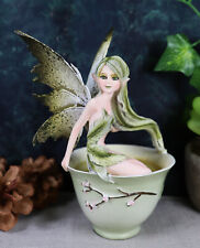 Ebros Amy Brown Matcha Green Tea Fairy In Teacup Figurine Fairy Garden 6