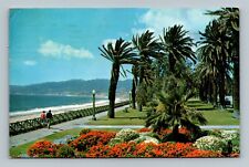 Gorgeous Geranium Bed in Windswept Palisades Park, Santa Monica, CA Postcard picture