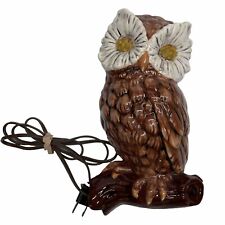 Vintage Owl Lamp Light 1970’s Ceramic Hand Painted Wall Hanging Pottery Handmade picture