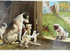 Antique 1895 Chromolithograph Print Jack Russell Terrier Dogs Disgrace to Family picture