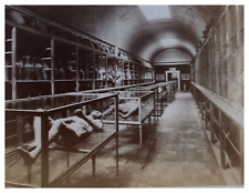 Italy, Pompeii, interior view of the museum, vintage print, circa 1895 vinta print picture