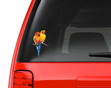 Love Birds Sun Conure Parakeets - Full Color Vinyl Decal for Car, Macbook, ect. picture