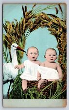 Postcard Stork Baby Announcement Stork With Twins In Nest c1910s AN22 picture