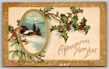 Postcard: A Prosperous New Year / Christmas, Embossed, Gilt, Posted 1909 picture