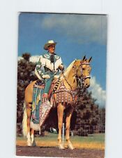 Postcard Peavine's Golden Major National Champion Parade Horse Omaha Nebraska picture