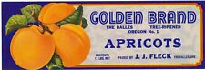 Original GOLDEN apricot can label J.J. Fleck The Dalles Oregon OR No. 1 picture