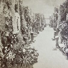 Antique 1894 The Black Death Catacombs Belgium Stereoview Photo Card P4319 picture