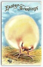 1913 EASTER GREETINGS BABY CHICK WITH FLY HUDSON IOWA EMBOSSED POSTCARD P3321 picture
