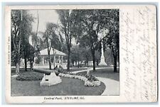 1905 Central Park Canyon Scene Sterling Illinois IL Posted Antique Postcard picture