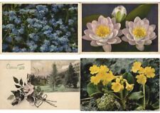 FLOWERS IN MOUNTAINS 300 Vintage Postcards Pre-1970 (L3593) picture