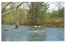 Mio Michigan MI Postcard Fishing picture