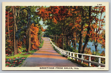 Galva, IL-Illinois, Lake Shore Road In The Fall, Vintage 1940's Antique Postcard picture