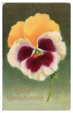 Vintage Early 1900's Hearty Congratulations Flower Postcard Unposted picture