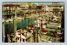 San Francisco CA-California, Fishing Fleet, Antique, Vintage Souvenir Postcard picture