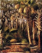 Dream-art Oil painting Palm-Hammock-with-Epiphytes-William-Aiken-Walker-oil-pain picture