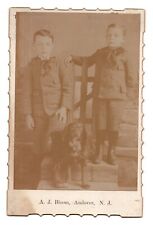 C. 1890s CABINET CARD A.J. BLOOM TWO YOUNG CHILDREN WITH DOG ANDOVER NEW JERSEY picture
