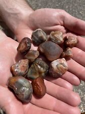 Beautiful 10 Ounce Lake Superior Agate Lot picture