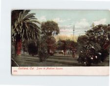 Postcard Scene in Madison Square, Oakland, California picture