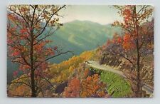 Autumn Fall Leaves Changing Colors Newfound Gap Great Smoky VTG TN Postcard picture