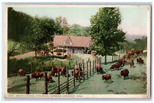 c1920's Buffalo Range Zoological Gardens Cincinnati Ohio OH Phostint Postcard picture
