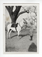 Calcutta Light Horse. Soldier. 1932 India. Vintage Photo G1341 picture