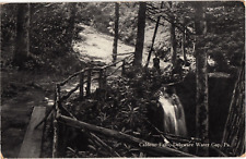 Caldeno Falls Pathway Water Gap Delaware PA Divided Postcard c1909 picture