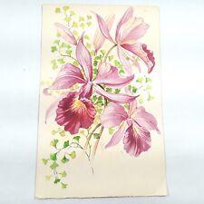 French Artist M.D. Paris -Delicate Purple Orchids- Divided Back Postcard 1907-15 picture