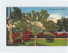 Postcard Travelers Palm Florida USA picture