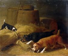 Oil painting Rats-amongst-the-Barley-Sheaves-1851-Thomas-Hewes-Hinckley-Oil-Pain picture