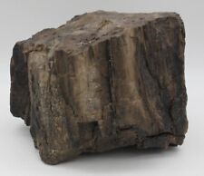 Large 15lb 5 oz Petrified Wood Specimen Fossil Rock Boulder Bookend Blank? picture