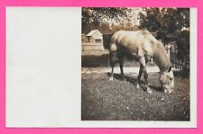 Vintage Original Photo of Horse and Farm in the Carolinas - Post Card picture