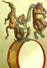 1870's-80's Anthropomorphic Baboon Playing Drum Victorian Card #2 F90 picture