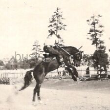 Vintage 1923 RPPC Prescott Frontier Days Stay Cowboy Show Postcard Arizona #1 picture